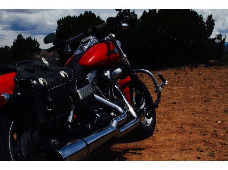 2010 Harley-Davidson Fat Bob DYNA