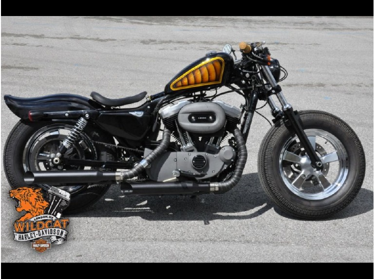 2011 Harley-Davidson XL1200N-Sportster 1200 Nightster
