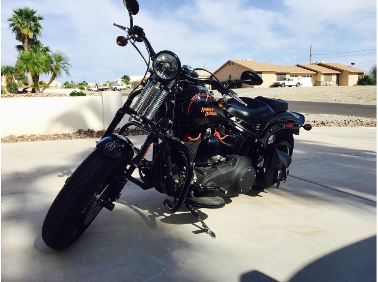 2008 Harley-Davidson Softail CROSS BONES