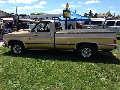 Chevrolet : C-10 Custom Delux 1985 chevy c 10 pickup low mileage excellent condition