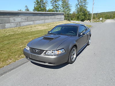 Ford : Mustang GT Coupe 2-Door 2002 ford mustang gt coupe 2 door 4.6 l v 8 5 speed