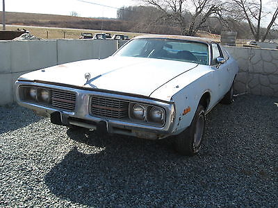 Dodge Charger 1974 Cars for sale