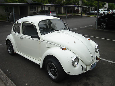 Volkswagen : Beetle - Classic 2 door 1969 volkswagon beetle