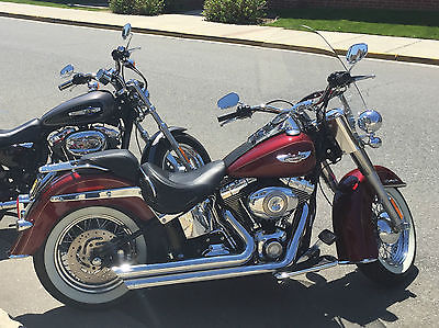 Harley-Davidson : Softail 2010 harley davidson softail deluxe flstn mint