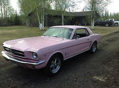 Ford : Mustang Coupe 1965 mustang coupe a code early production