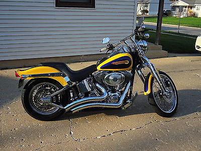 Harley-Davidson : Softail 2004 fxsts springer softail custom harley colors all chromed out