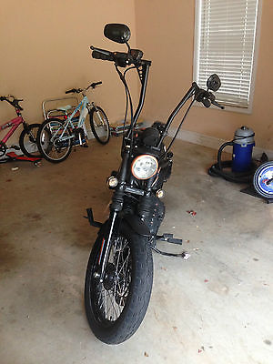 Harley-Davidson : Sportster 2010 harley davidson sporter iron 883 highly modified
