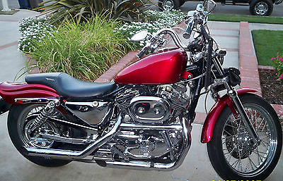 Harley-Davidson : Sportster 1999 harley davidson 883 sportster hugger