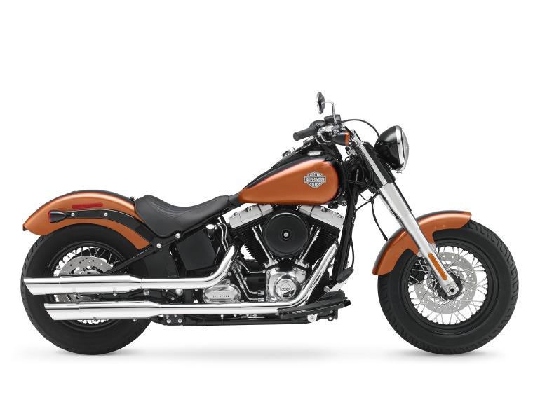 2015 Harley-Davidson FLS103