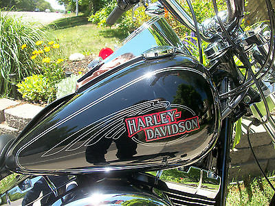 Harley-Davidson : Softail 2008 harley fxstc softail custom low milage