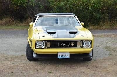 Ford : Mustang Convertible  1973 ford mustang convertible 351 clevland automatic