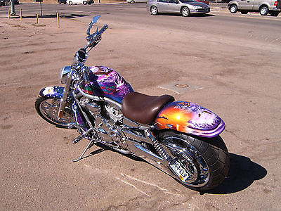 Harley-Davidson : VRSC CUSTOM HARLEY DAVIDSON  VRSCA
