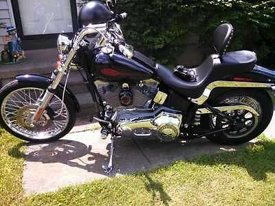 Harley-Davidson : Softail 2005 harley davidson softail 1450 cc 5 speed never dumped never crashed