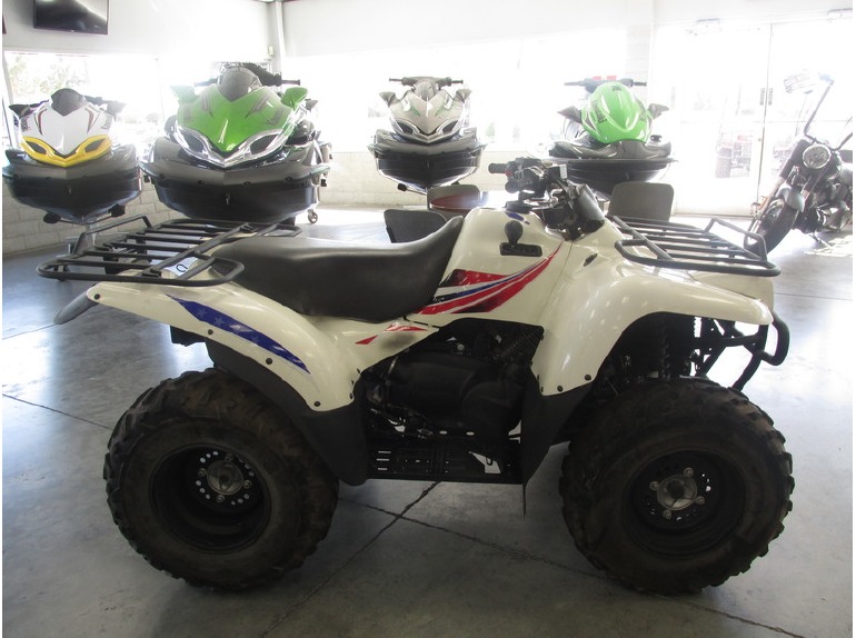 2009 Kawasaki Prairie 360