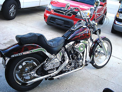 Harley-Davidson : Softail HARLEY DAVIDSON MOTOR CYCLE 1985 CUSTOM LOOKS AND RUNS GRET