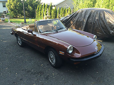 Alfa Romeo : Spider Veloce Convertible 2-Door Rare 1980 Alfa Romeo Spider Veloce