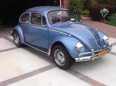 Volkswagen : Beetle - Classic bug Light blue Volkswagen classic Beatle 1967