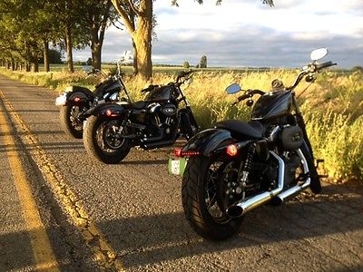 Harley-Davidson : Sportster Harley Davidson Nighster…1200