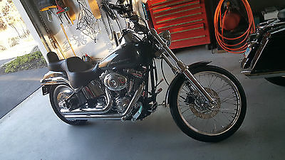 Harley-Davidson : Touring 2007 harley davidson soft tail deuce