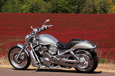 Harley-Davidson : VRSC One of a kind original V-Rod