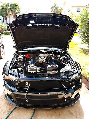 Ford : Mustang GT 2012 ford mustang gt 500 shelby