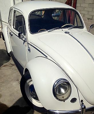 Volkswagen : Beetle - Classic beetle 1965 volkswagen vw beetle