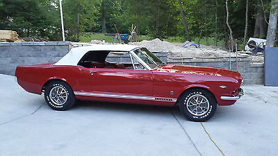 Ford : Mustang GT Tribute 1966 mustang convertible gt tribute