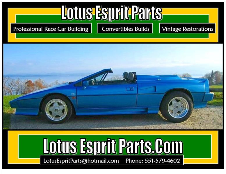 Lotus Esprit S3 Turbo Louver / Rear Shade, 3