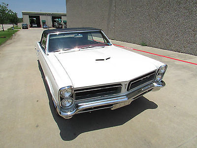 Pontiac : GTO Convertible 1965 pontiac gto