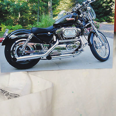 Harley-Davidson : Sportster 2002 harley davidson xl 1200 c sportster 9.936 miles lots of chrome mint