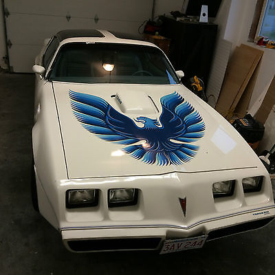 Pontiac : Trans Am Rare White and Blue color combination a real head turner.
