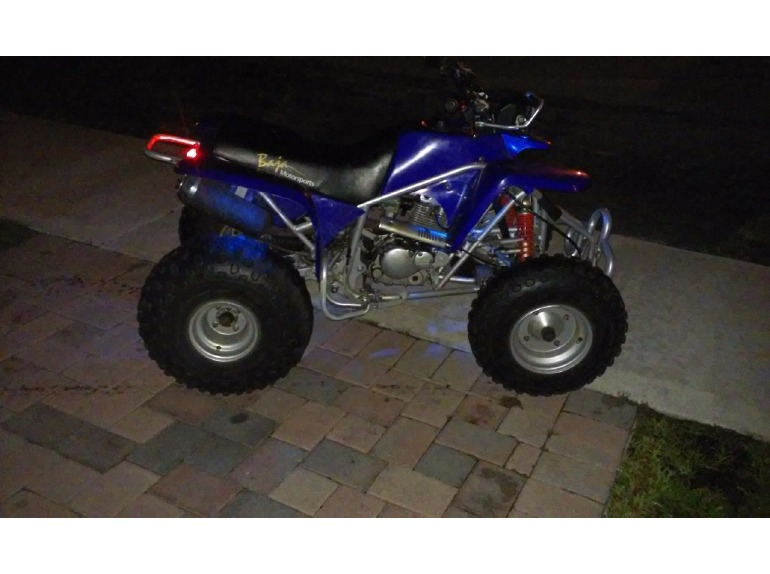 2006 Baja Motorsports Mb200