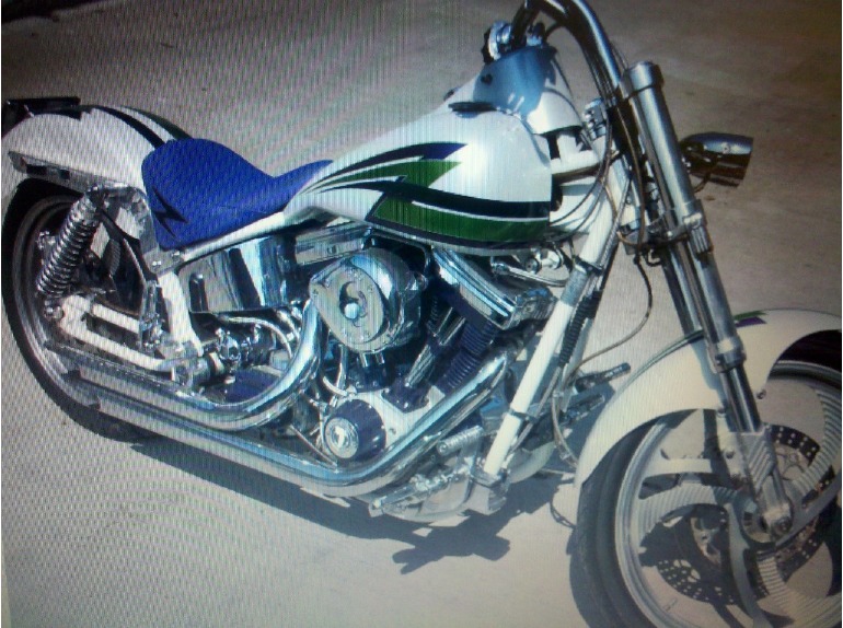 2002 Titan Motorcycle Co. Gecko