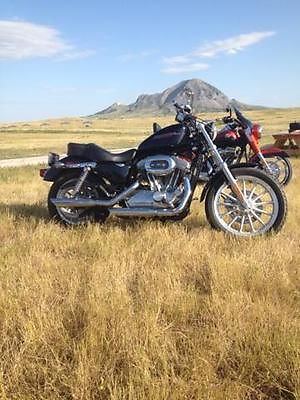 Harley-Davidson : Sportster 2004 harley davison 883 with less than 3000 miles black motorcycle