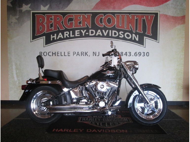 2002 Harley Davidson FLSTF