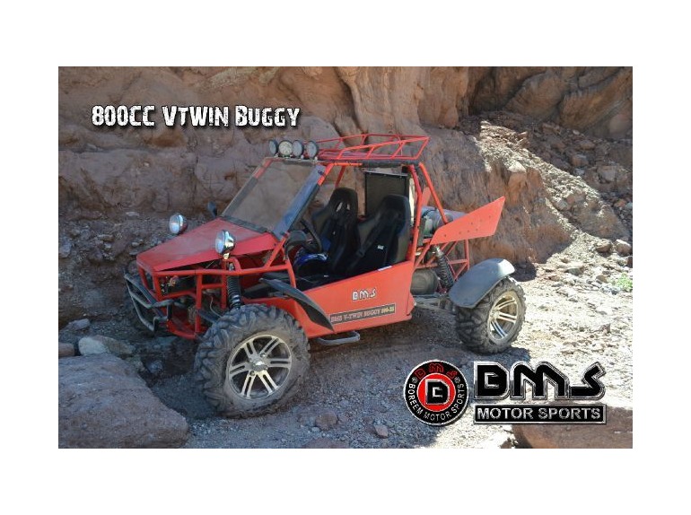 2015 BMS V-TWIN BUGGY 80