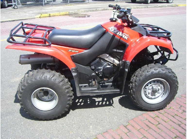 2006 Suzuki Ozark 250 4x2