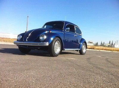 Volkswagen : Beetle - Classic 1969 vw bug
