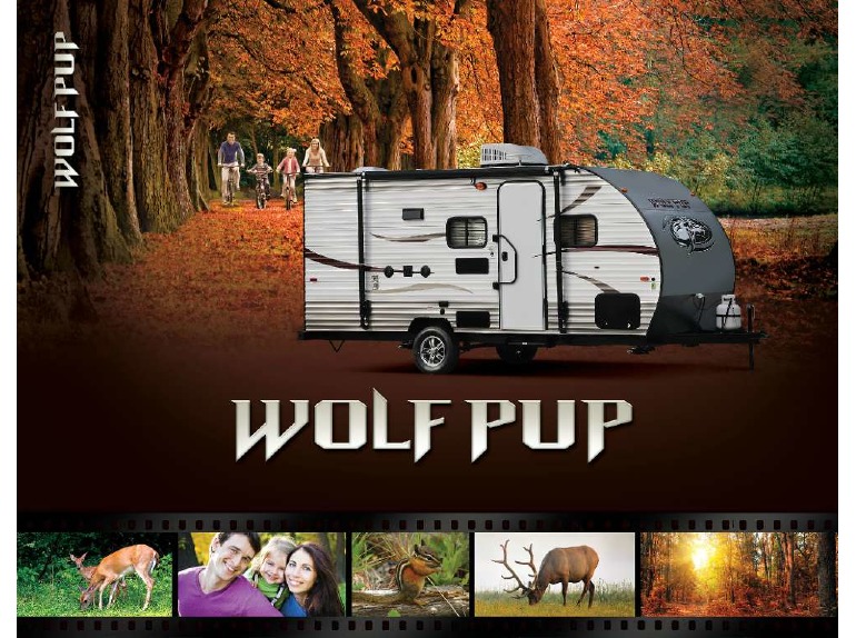 2015 Forest River Wolf Pup 16BH