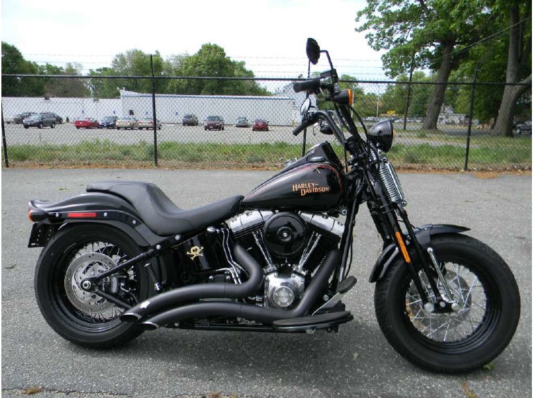 2009 Harley-Davidson Softail Cross Bones