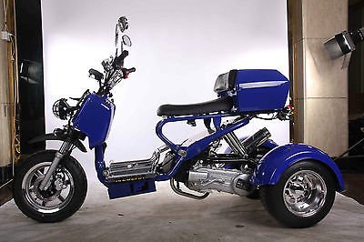 Other Makes IceBear Viking Trike - 150CC - 100 MPG - Brand New - Free Shipping