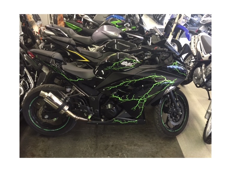 2013 Kawasaki Ninja 300