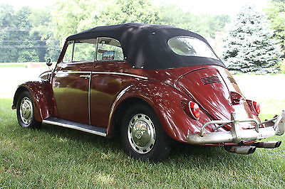 Volkswagen : Beetle - Classic STD 1963 vw bug convertible very nice classic