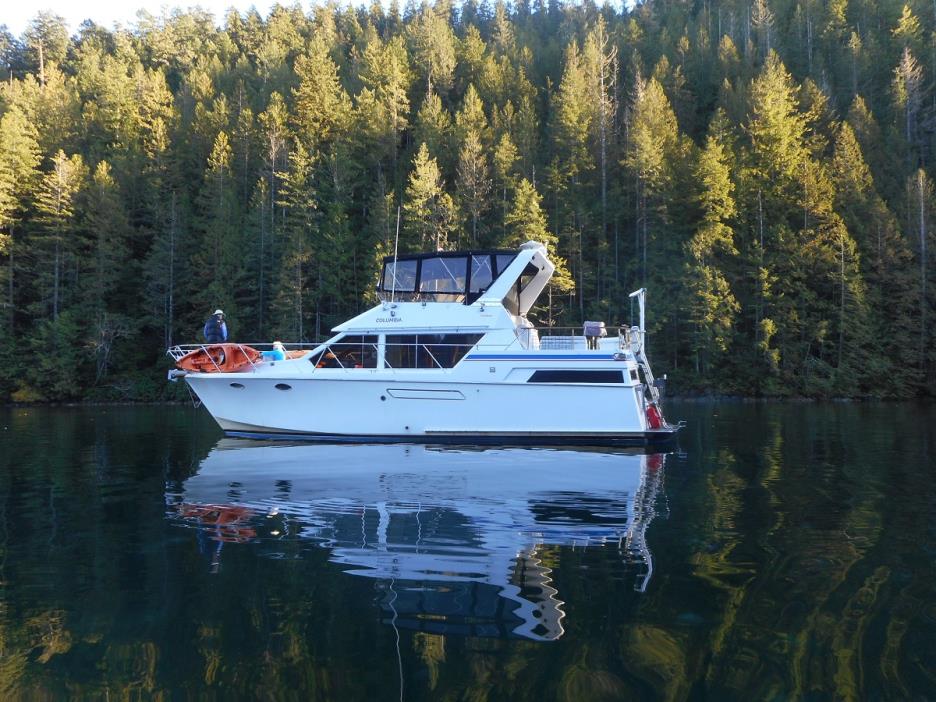 1986 Ocean Alexander Sundeck 42