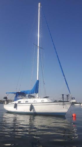 1980 Hunter 30 Sailboat