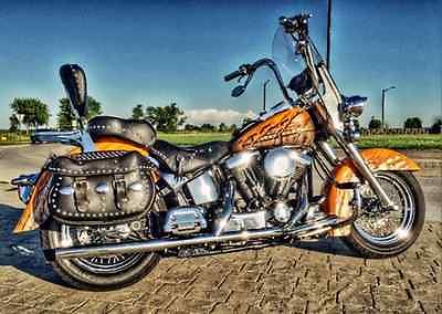 Harley-Davidson : Softail Beautiful Custom Show bike. Ready to show and go.