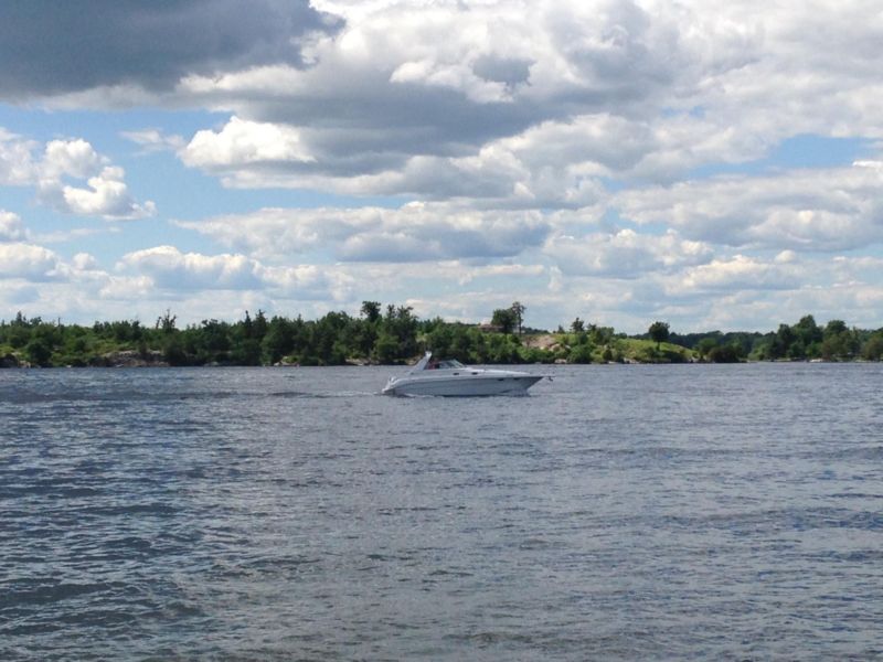 SeaRay 330 Sundancer