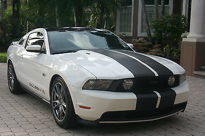 Ford : Mustang GT Coupe 2-Door 2010 ford mustang gt saleen coupe