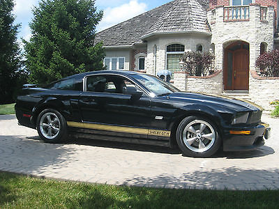 Ford : Mustang Shelby American Mustang 