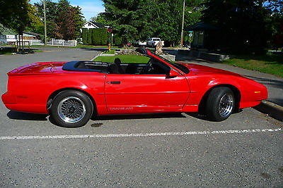 Pontiac : Trans Am Convertible Rare 91 convertible have documentation from GM only 555 made 81 for export.
